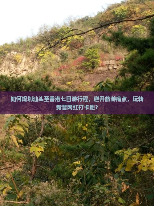 如何规划汕头至香港七日游行程，避开旅游痛点，玩转新晋网红打卡地？