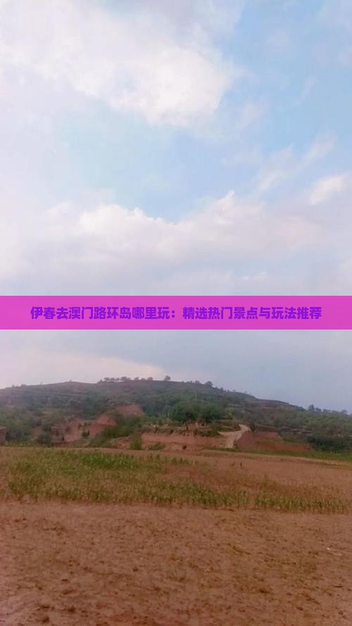 伊春去澳门路环岛哪里玩：精选热门景点与玩法推荐