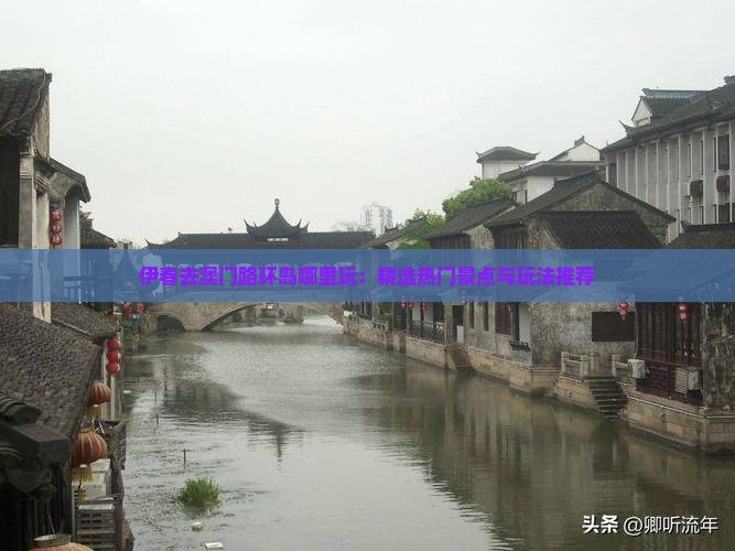 伊春去澳门路环岛哪里玩：精选热门景点与玩法推荐