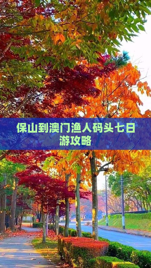 保山到澳门渔人码头七日游攻略