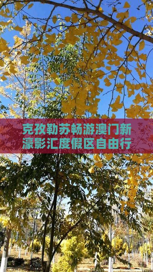 克孜勒苏畅游澳门新濠影汇度假区自由行之旅