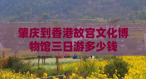 肇庆到香港故宫文化博物馆三日游多少钱