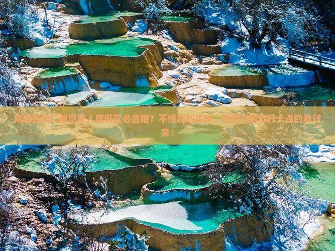 南通到澳门威尼斯人度假区必去地？不懂规划攻略、怕错过网红打卡点的看过来！