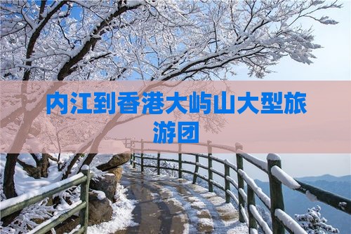 内江到香港大屿山大型旅游团