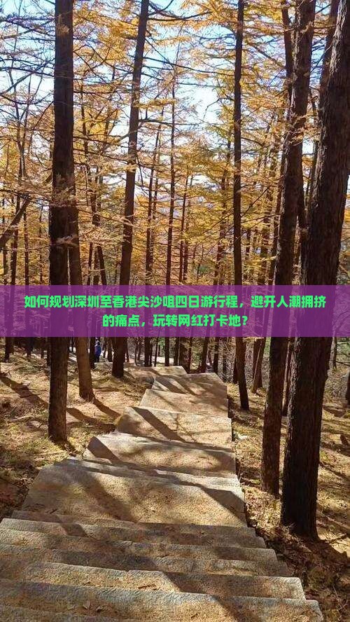如何规划深圳至香港尖沙咀四日游行程，避开人潮拥挤的痛点，玩转网红打卡地？