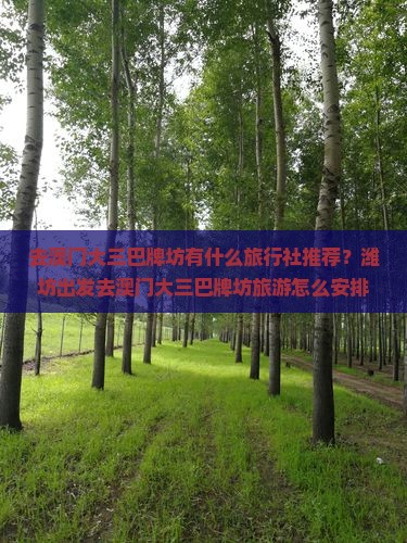去澳门大三巴牌坊有什么旅行社推荐？潍坊出发去澳门大三巴牌坊旅游怎么安排行程？