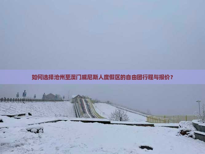 如何选择沧州至澳门威尼斯人度假区的自由团行程与报价？