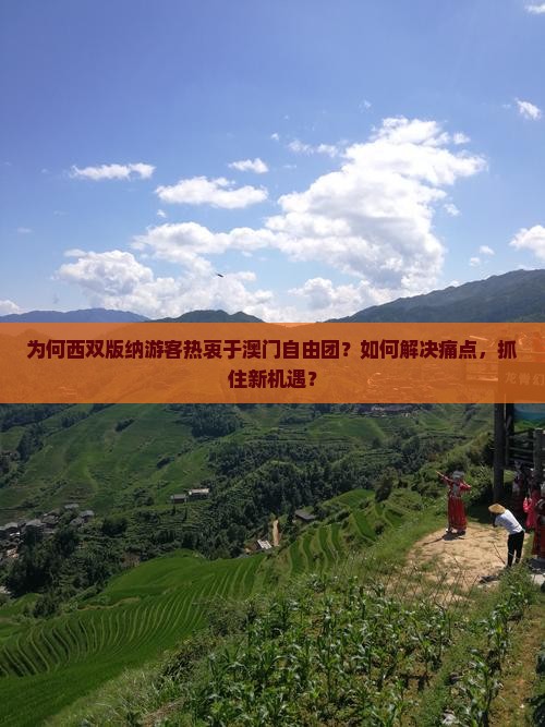 为何西双版纳游客热衷于澳门自由团？如何解决痛点，抓住新机遇？