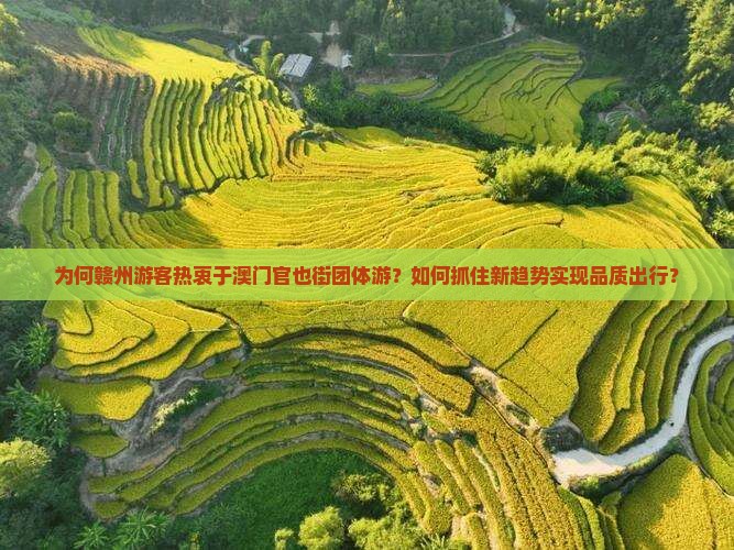 为何赣州游客热衷于澳门官也街团体游？如何抓住新趋势实现品质出行？