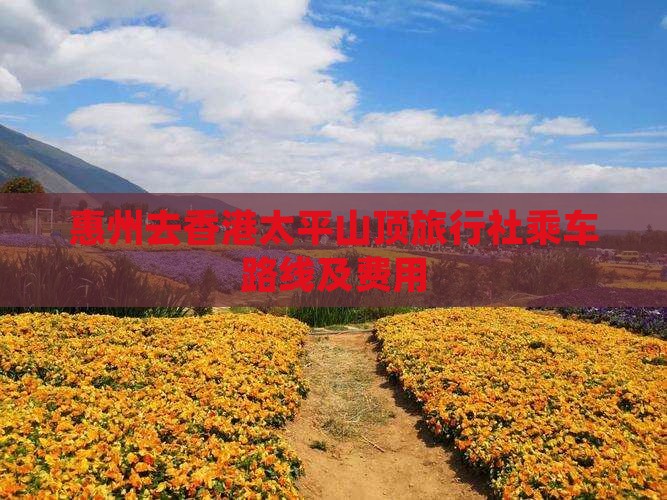 惠州去香港太平山顶旅行社乘车路线及费用