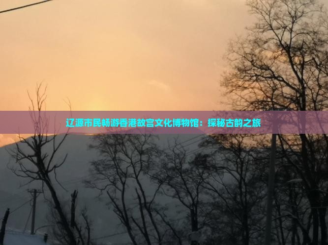 辽源市民畅游香港故宫文化博物馆：探秘古韵之旅