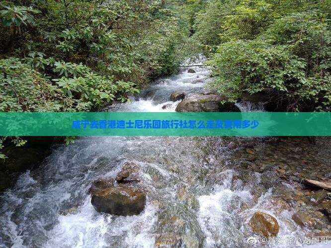 咸宁去香港迪士尼乐园旅行社怎么走及费用多少