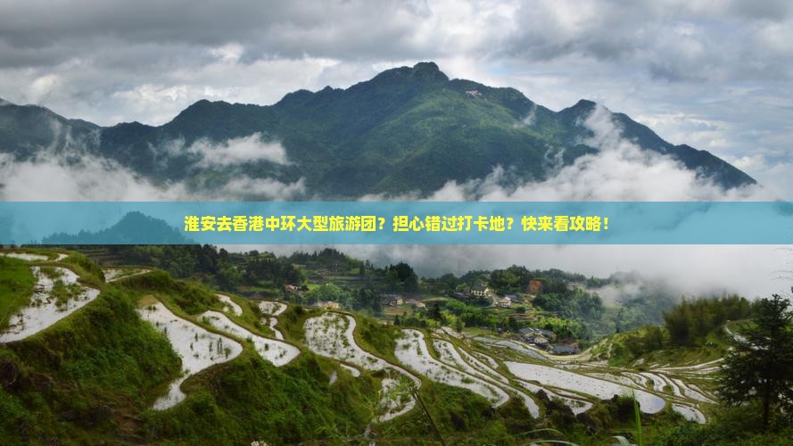 淮安去香港中环大型旅游团？担心错过打卡地？快来看攻略！
