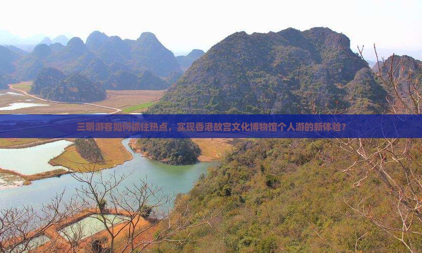 三明游客如何抓住热点，实现香港故宫文化博物馆个人游的新体验？