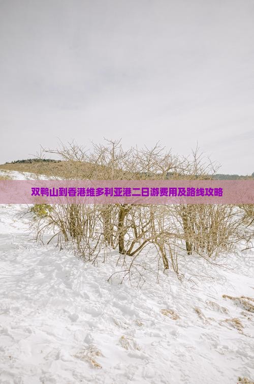 双鸭山到香港维多利亚港二日游费用及路线攻略