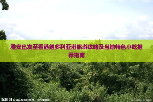 雅安出发至香港维多利亚港旅游攻略及当地特色小吃推荐指南