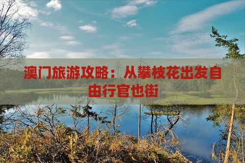澳门旅游攻略：从攀枝花出发自由行官也街