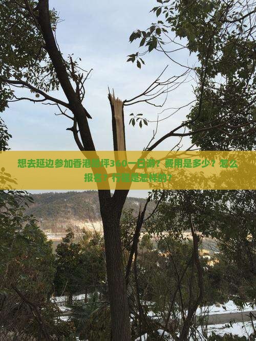 想去延边参加香港昂坪360一日游？费用是多少？怎么报名？行程是怎样的？