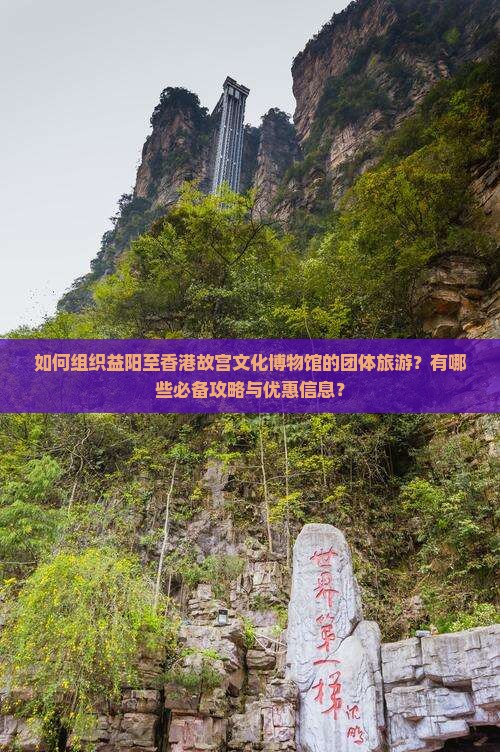 如何组织益阳至香港故宫文化博物馆的团体旅游？有哪些必备攻略与优惠信息？