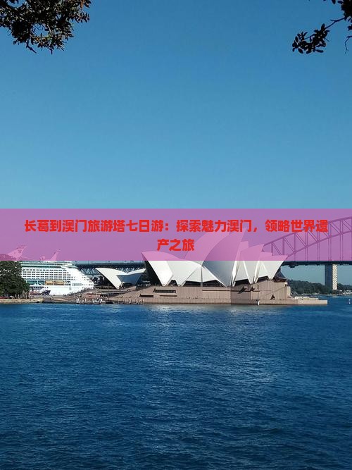 长葛到澳门旅游塔七日游：探索魅力澳门，领略世界遗产之旅