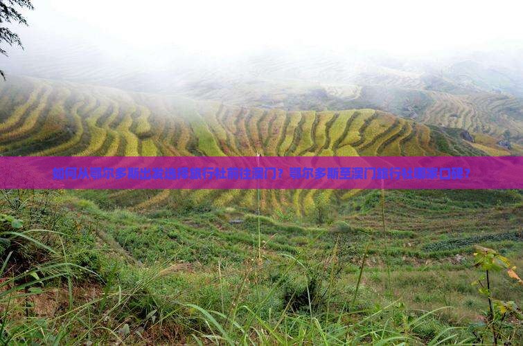 如何从鄂尔多斯出发选择旅行社前往澳门？鄂尔多斯至澳门旅行社哪家口碑？