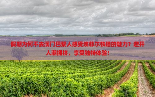 假期为何不去澳门巴黎人感受埃菲尔铁塔的魅力？避开人潮拥挤，享受独特体验！