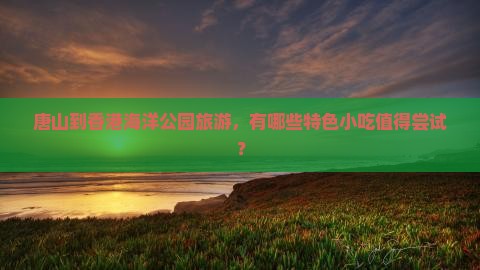 唐山到香港海洋公园旅游，有哪些特色小吃值得尝试？