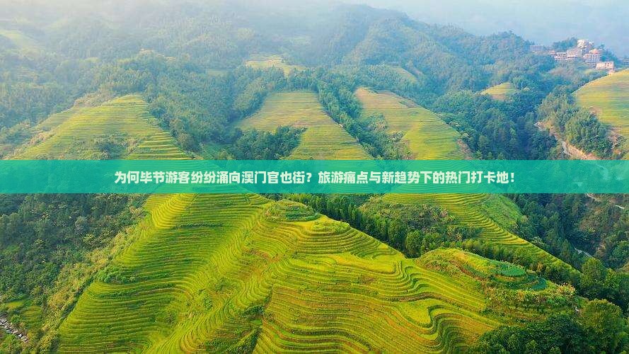 为何毕节游客纷纷涌向澳门官也街？旅游痛点与新趋势下的热门打卡地！