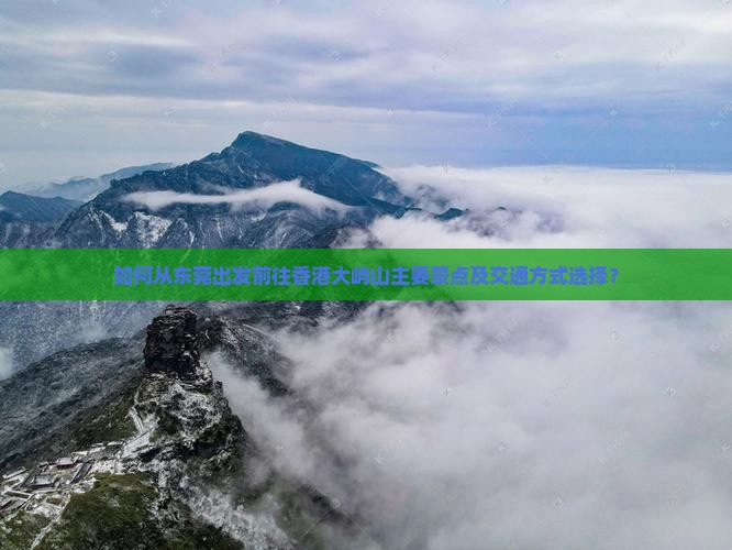 如何从东莞出发前往香港大屿山主要景点及交通方式选择？