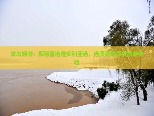 青岛畅游：探秘香港维多利亚港，港澳两地深度旅游体验