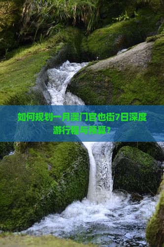 如何规划一月澳门官也街7日深度游行程与预算？