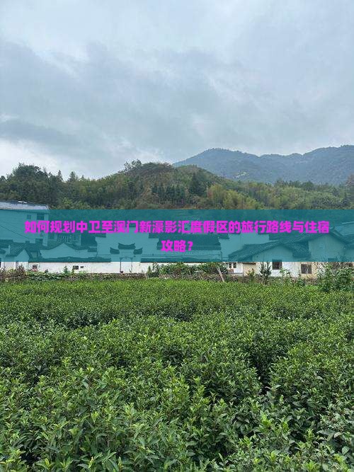 如何规划中卫至澳门新濠影汇度假区的旅行路线与住宿攻略？