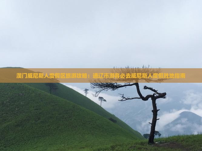 澳门威尼斯人度假区旅游攻略：通辽市游客必去威尼斯人度假胜地指南