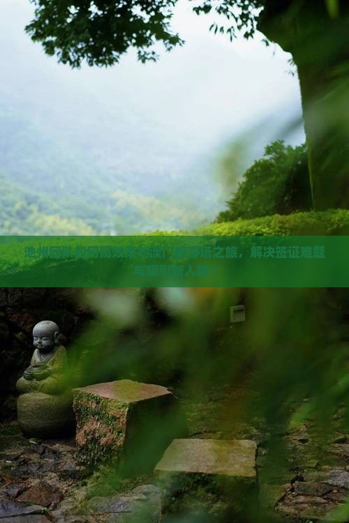 池州团队如何高效策划澳门旅游塔之旅，解决签证难题与吸引新人群？