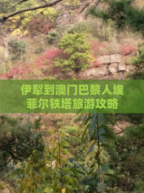 伊犁到澳门巴黎人埃菲尔铁塔旅游攻略