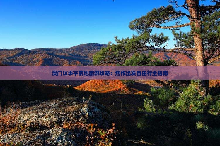 澳门议事亭前地旅游攻略：焦作出发自由行全指南