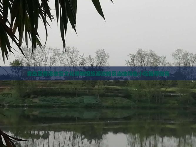 青岛至香港故宫文化博物馆旅游攻略及当地特色小吃推荐指南