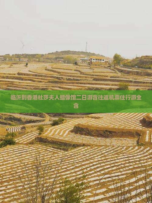 临沂到香港杜莎夫人蜡像馆二日游含往返机票住行游全含