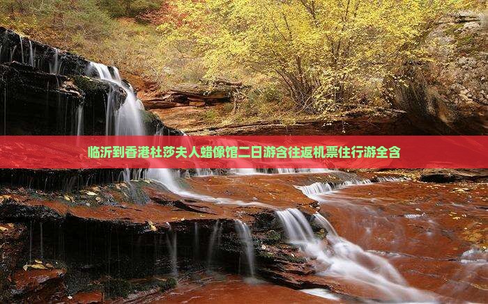 临沂到香港杜莎夫人蜡像馆二日游含往返机票住行游全含