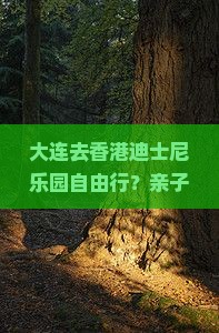 大连去香港迪士尼乐园自由行？亲子游痛点攻略，独家秘笈抢先看