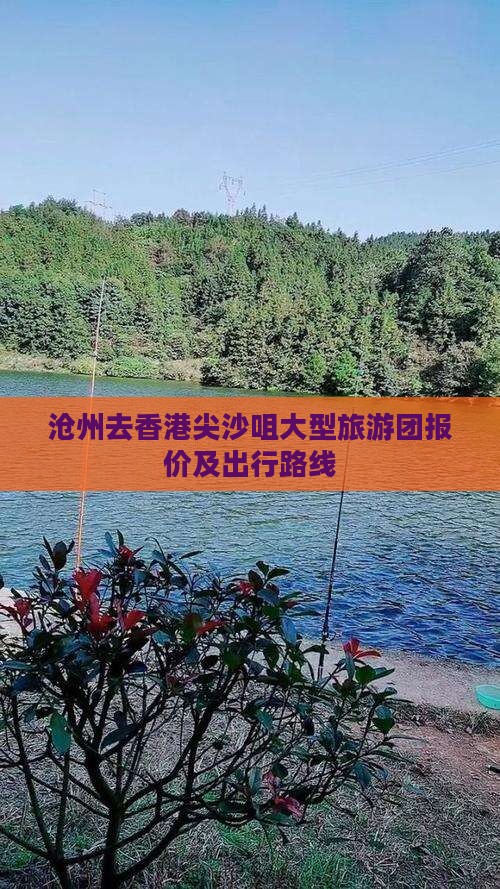 沧州去香港尖沙咀大型旅游团报价及出行路线