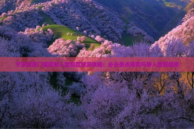 宁波到澳门威尼斯人度假区旅游攻略：必去景点推荐与斯人度假指南