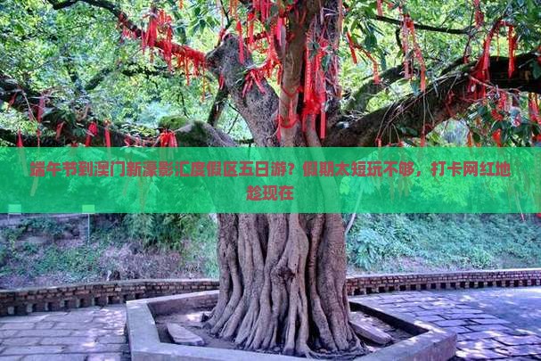 端午节到澳门新濠影汇度假区五日游？假期太短玩不够，打卡网红地趁现在