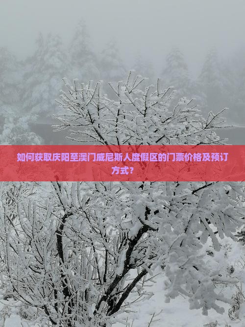 如何获取庆阳至澳门威尼斯人度假区的门票价格及预订方式？