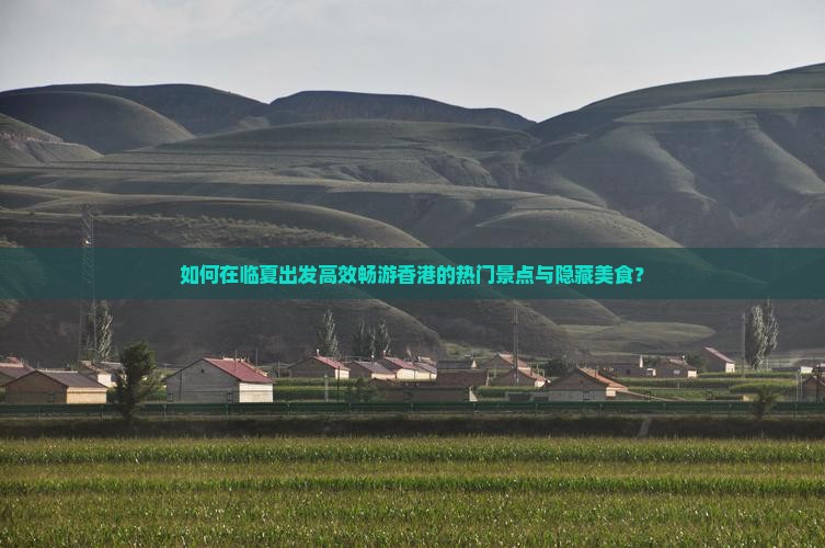 如何在临夏出发高效畅游香港的热门景点与隐藏美食？