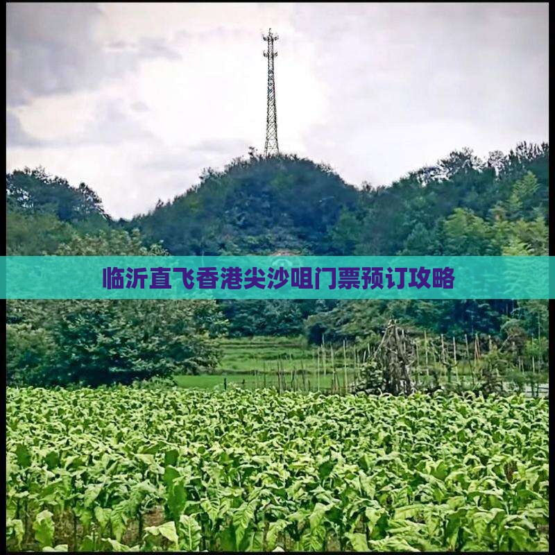 临沂直飞香港尖沙咀门票预订攻略