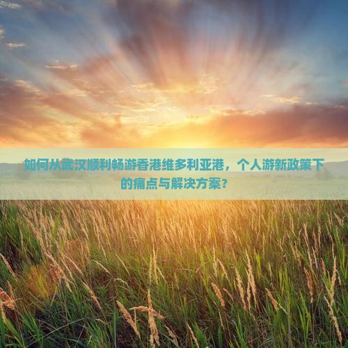 如何从武汉顺利畅游香港维多利亚港，个人游新政策下的痛点与解决方案？