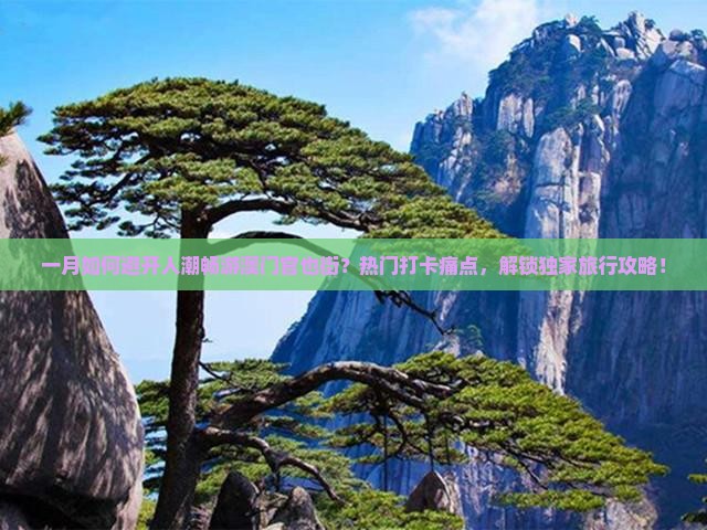 一月如何避开人潮畅游澳门官也街？热门打卡痛点，解锁独家旅行攻略！