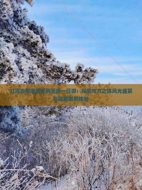红河去香港维多利亚港一日游：探索东方之珠风光盛宴与璀璨夜景体验