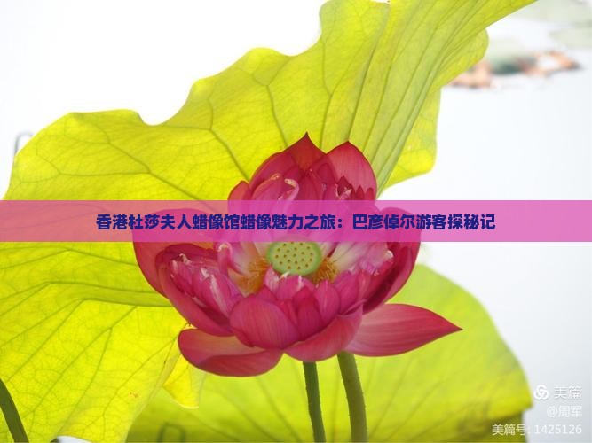 香港杜莎夫人蜡像馆蜡像魅力之旅：巴彦倬尔游客探秘记